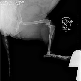 до операции