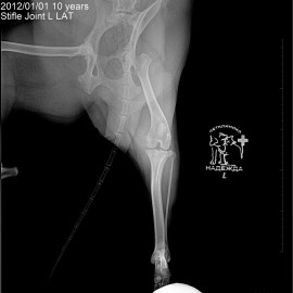 до операции