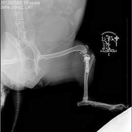 после операции