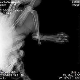 до операции