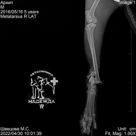 до операции