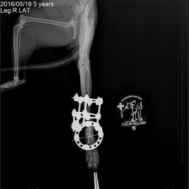 после операции