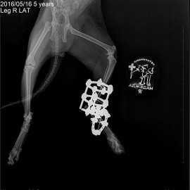 после операции