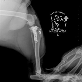 после операции