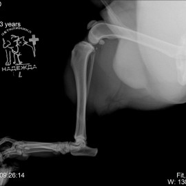 до операции