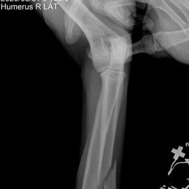 до операции