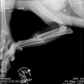 до операции